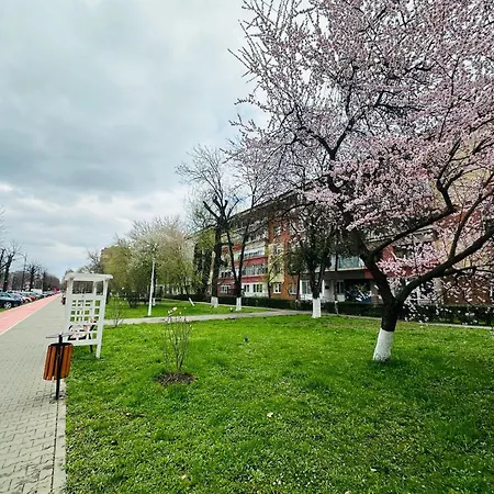 Apartment Platinum Cyb